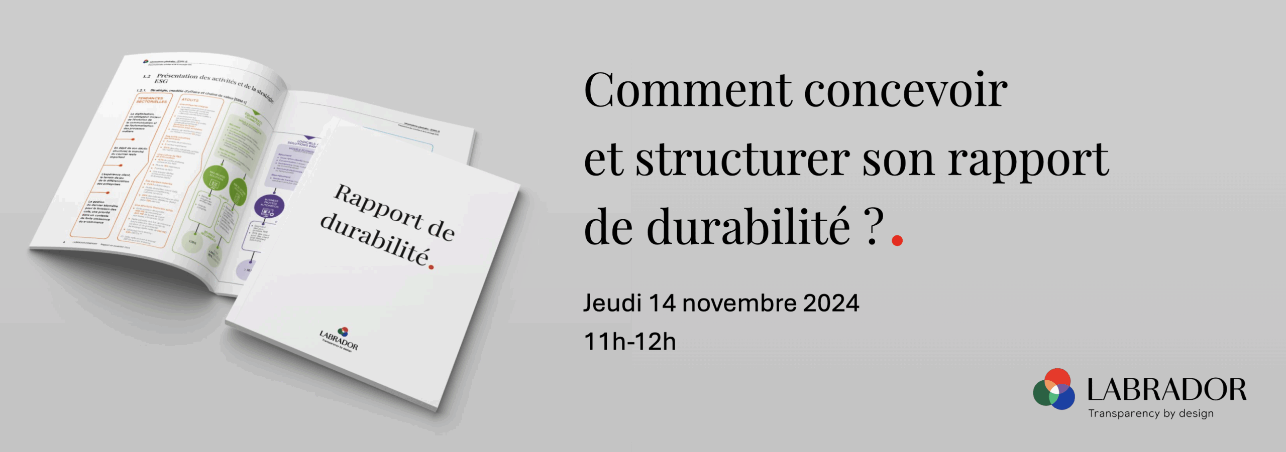 Bandeau d'invitation au webinaire sur le rapport de durabilité