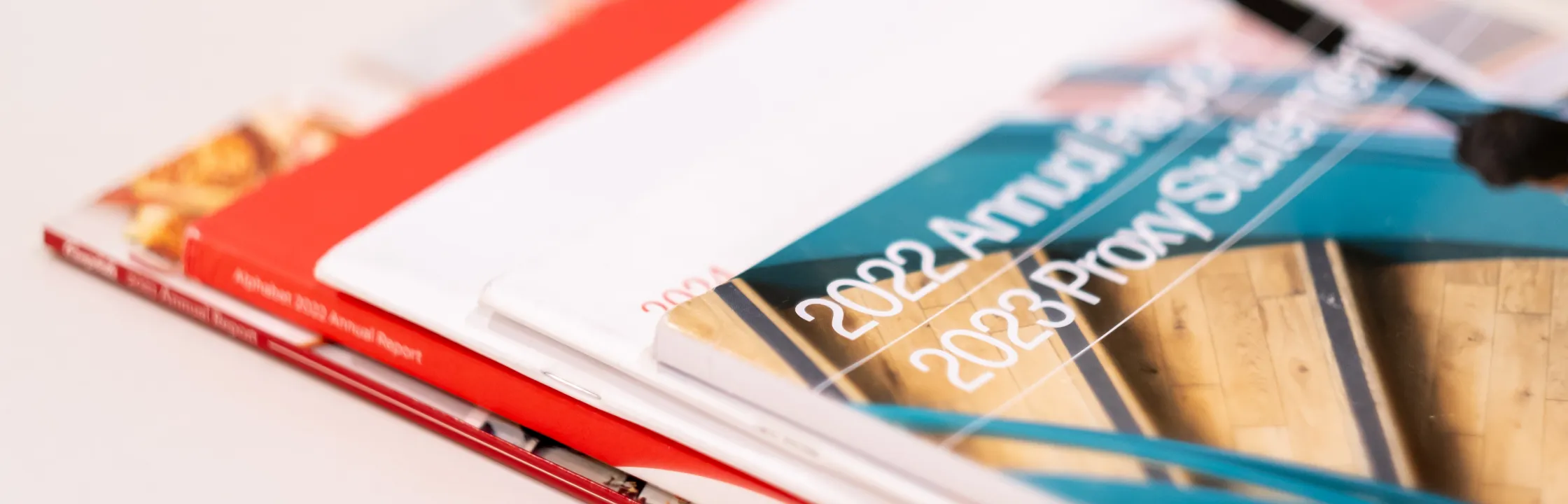 banner annual report services 2x