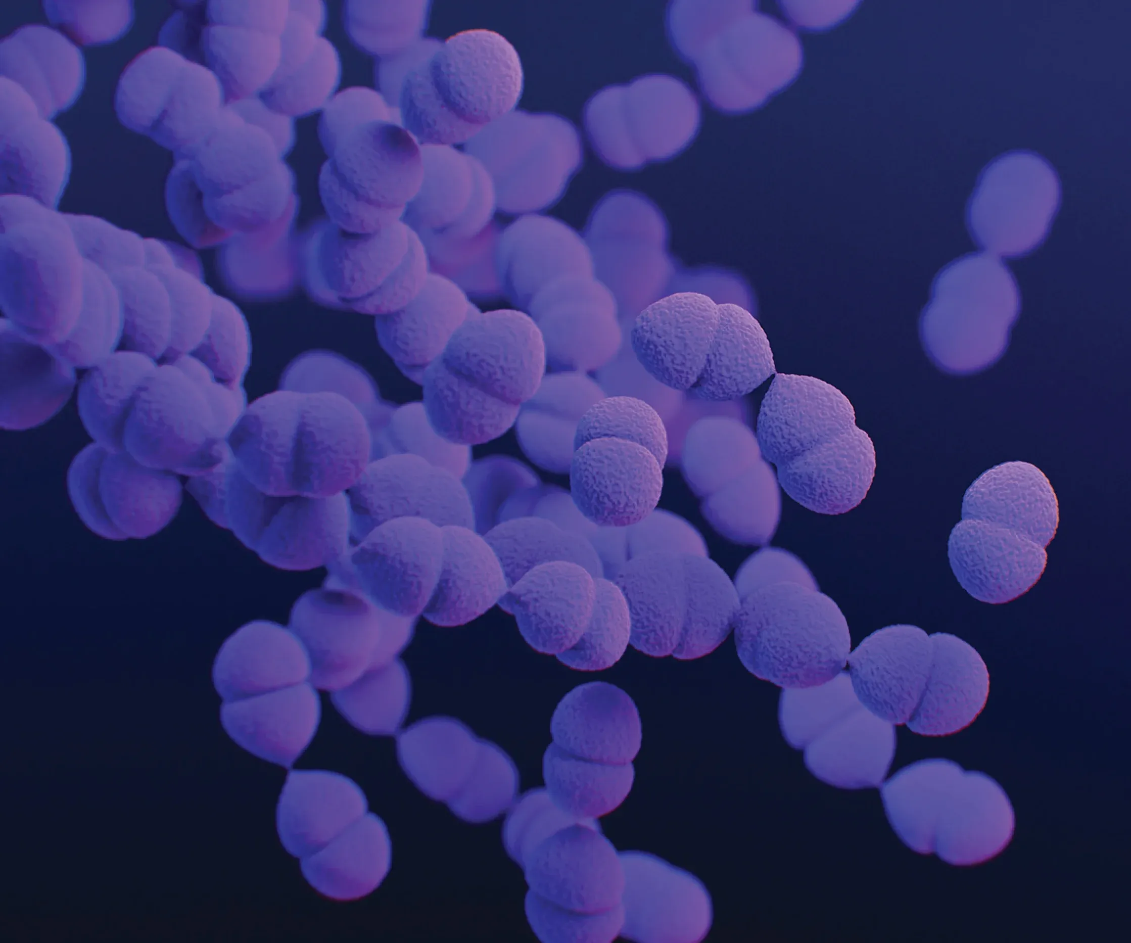 Lookbook Thumbnail Proxy Statement Pfizer