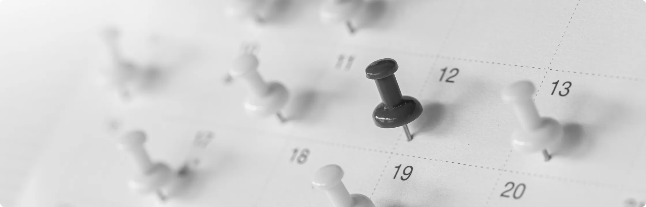 banner agenda