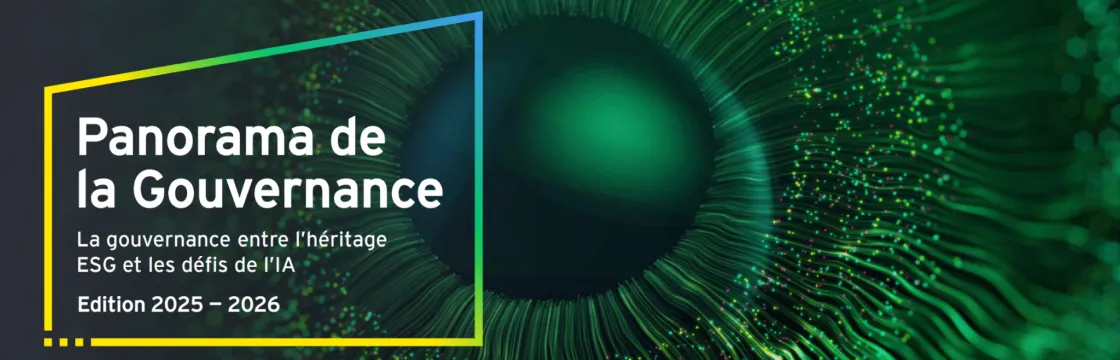 img blog Panorama Gouvernance 2025 2026