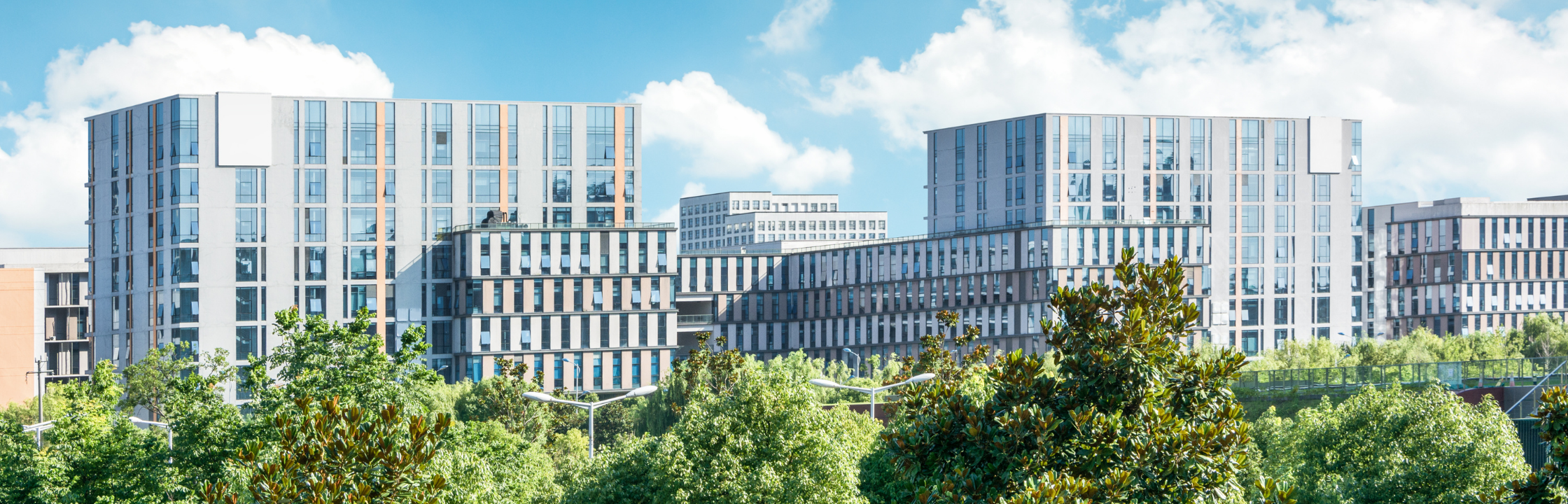 Étude Featured Image (1)