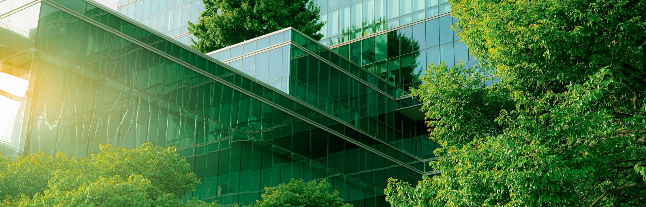 Étude Featured Image