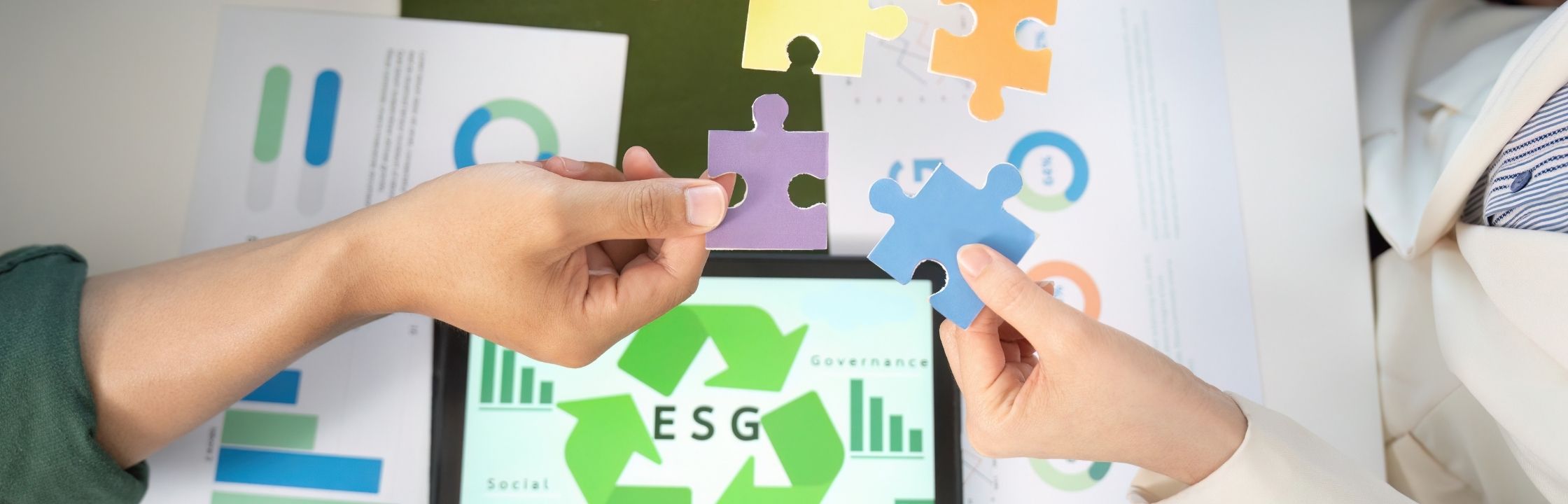 article questionnaire esg