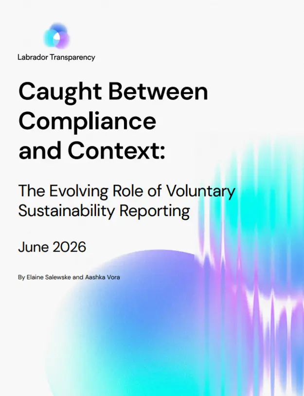 Caught Between Compliance and Context: The Evolving Role of Voluntary Sustainability Reporting